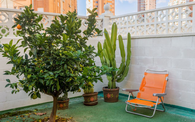 Rinconada Real - Photo 4