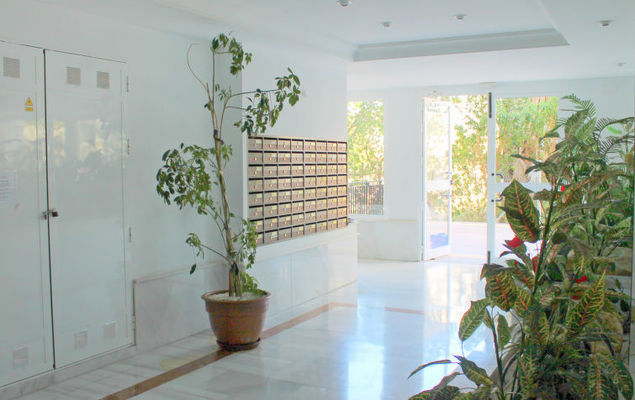 Agua Viva - Photo 10