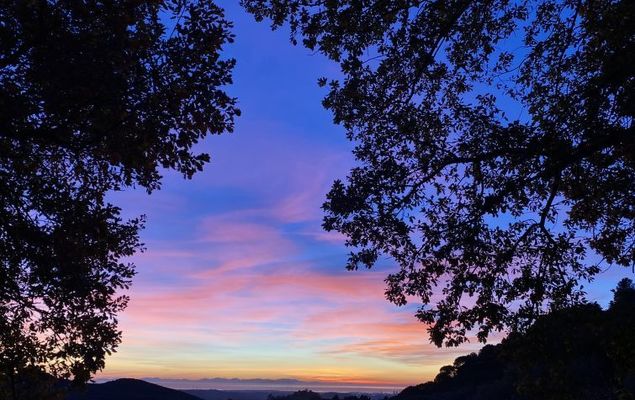 Home Relax - Photo 6