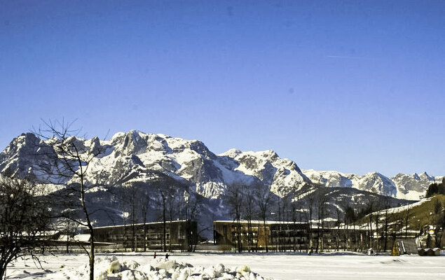 Edelweiss - Photo 14