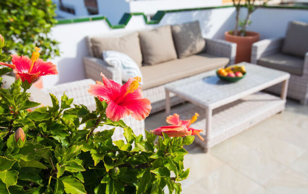 Parador del Mar - Photo 23