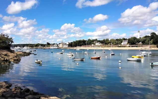 Les Bruyères - Photo 38