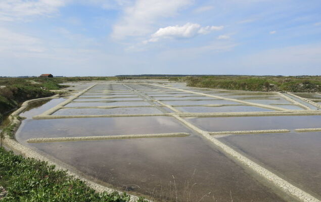Charme de la Plage de Port Lin - Photo 46