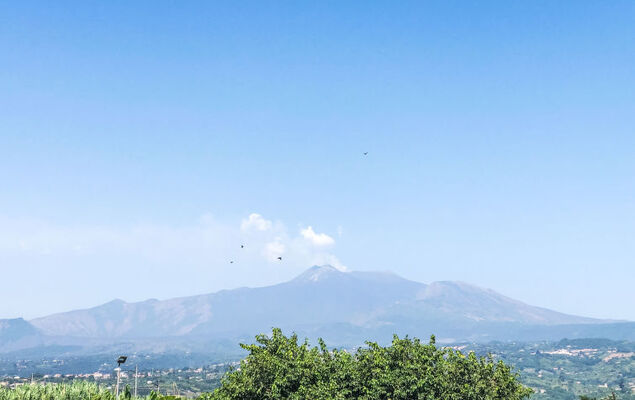 Casa di Théo - Photo 24